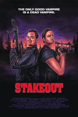 Stakeout 2020 Dual Audio Hindi (HQ Dub) 480p WEB-DL x264 300MB