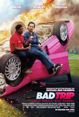 Bad Trip 2021 Dual Audio Hindi 480p WEB-DL x264 300MB ESubs