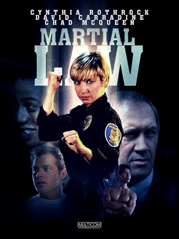 Martial Law 1990 Hollywood Movie Hindi ORG 480p BluRay x264 300MB ESubs