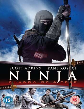 Ninja Shadow of a Tear 2013 Hindi Dual Audio BRRip Full Movie 480p Download