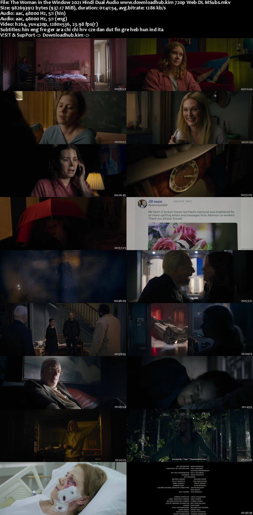 The Woman in the Window 2021 Hindi Dual Audio 720p Web-DL MSubs