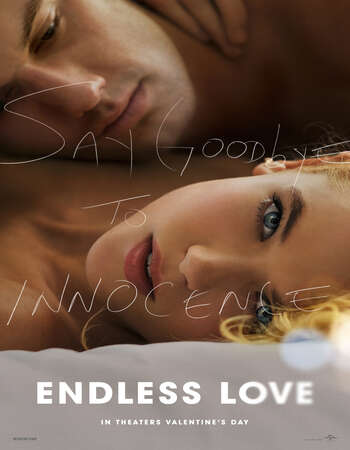 Endless Love 2014 Hindi Dual Audio BRRip Full Movie 720p HEVC Download