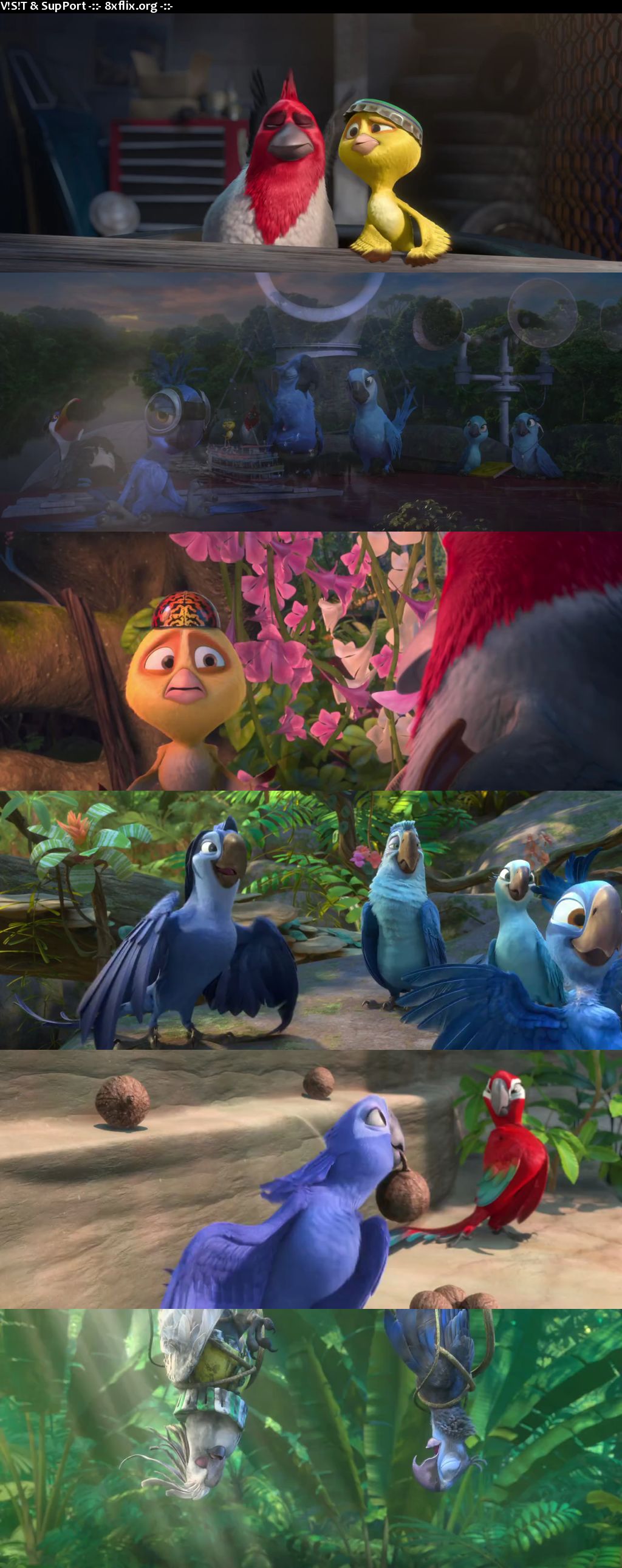 Rio 2 14 Hindi English Dual Audio 7p 480p Bluray 8xflix