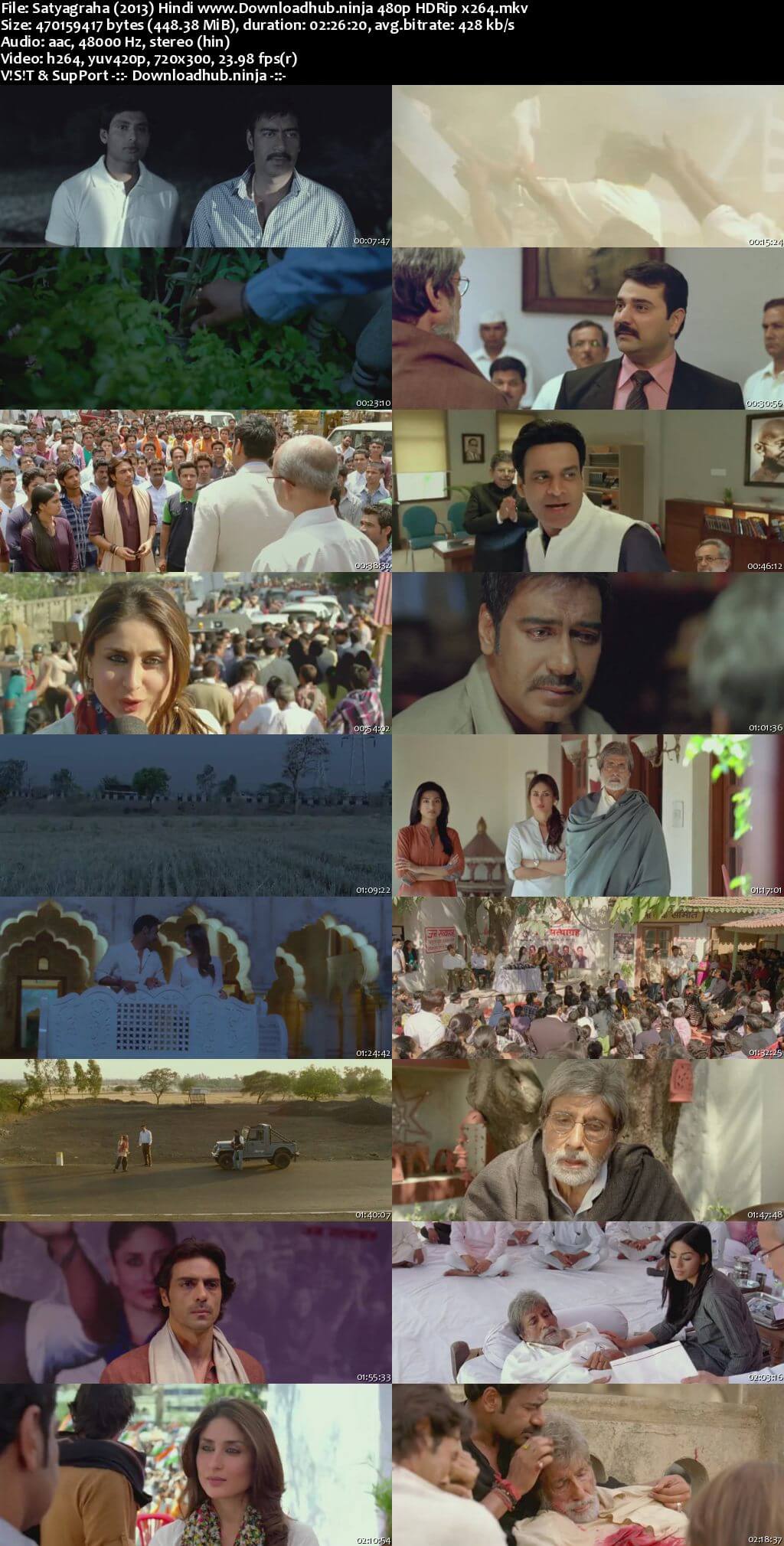 Satyagraha 2013 Hindi 450MB HDRip 480p