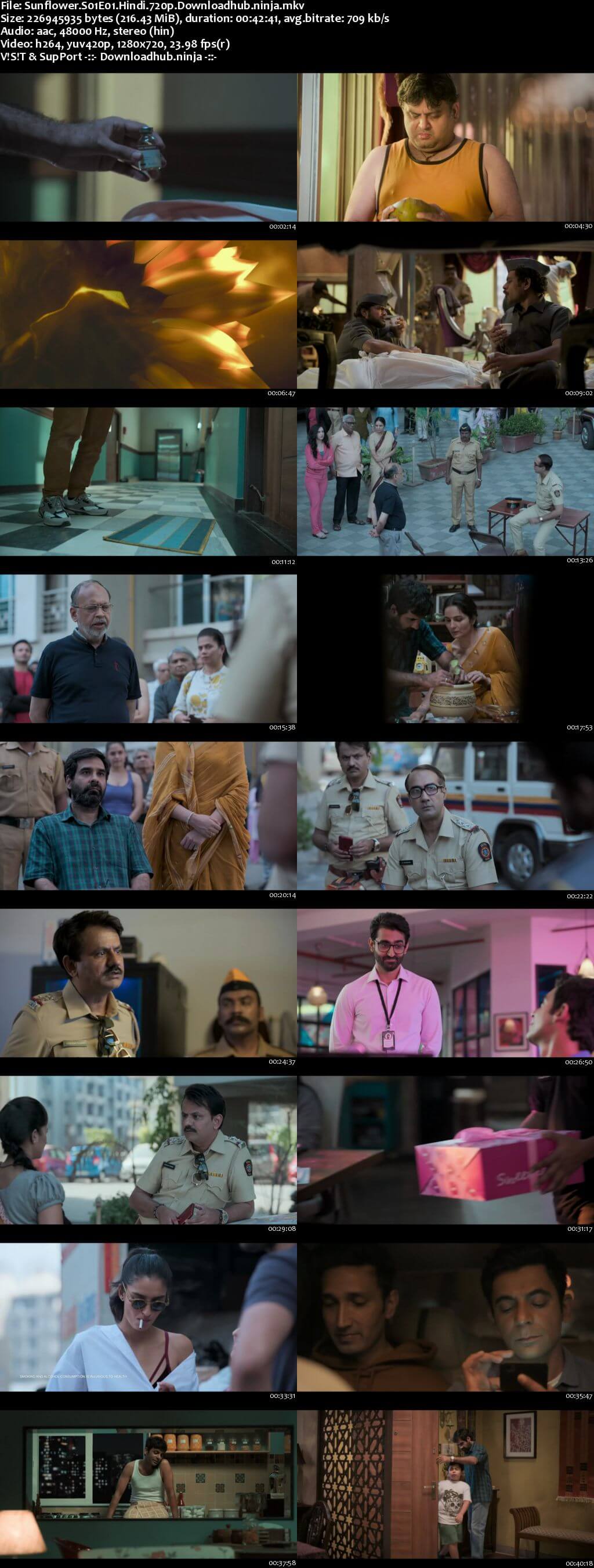 Sunflower 2021 Hindi Season 01 Complete 720p HDRip x264