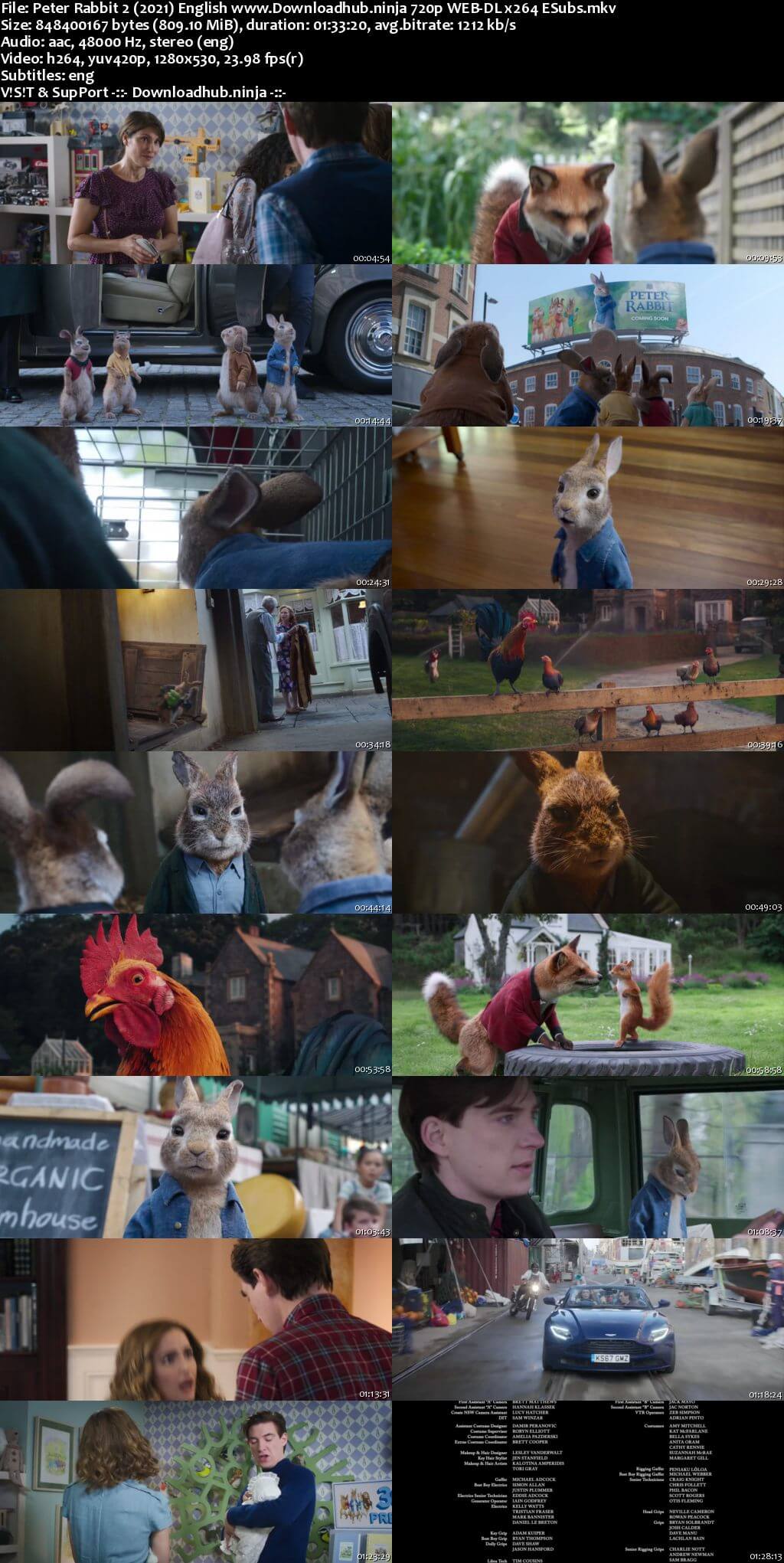 Peter Rabbit 2 The Runaway 2021 English 720p Web-DL 800MB ESubs