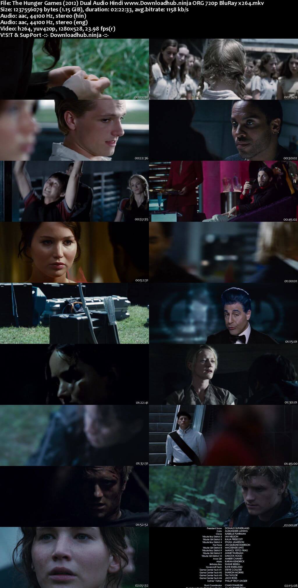 The Hunger Games 2012 Hindi Dual Audio 720p BluRay x264