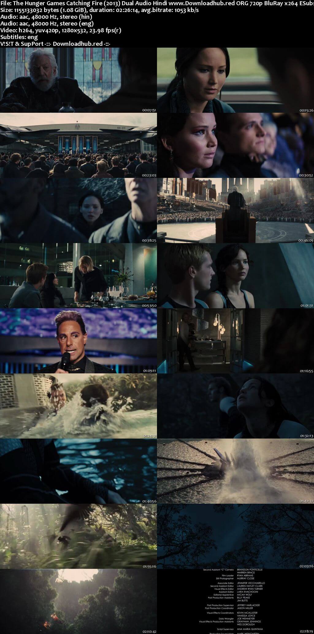 The Hunger Games Catching Fire 2013 Hindi Dual Audio 720p BluRay ESubs