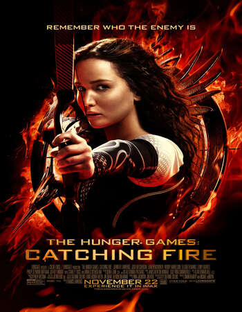 The Hunger Games Catching Fire 2013 Hindi Dual Audio 720p BluRay ESubs