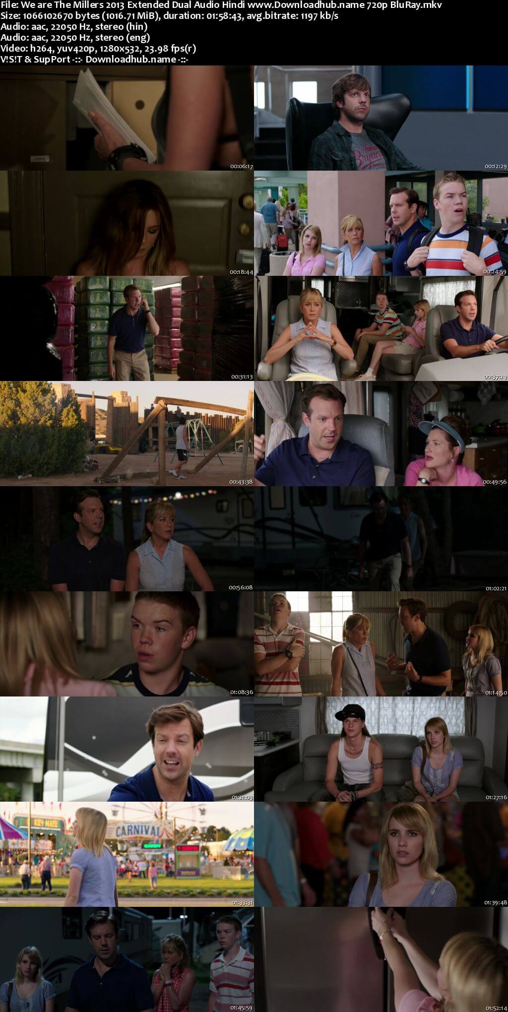 We are the Millers 2013 Hindi Dual Audio 720p EXTENDED BluRay x264