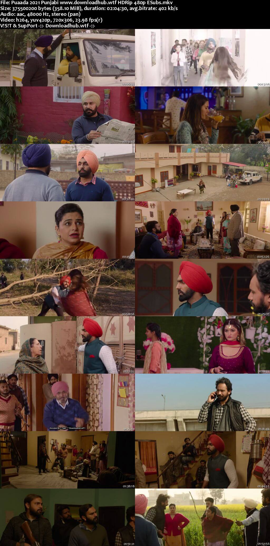 Puaada 2021 Punjabi 350MB HDRip 480p ESubs