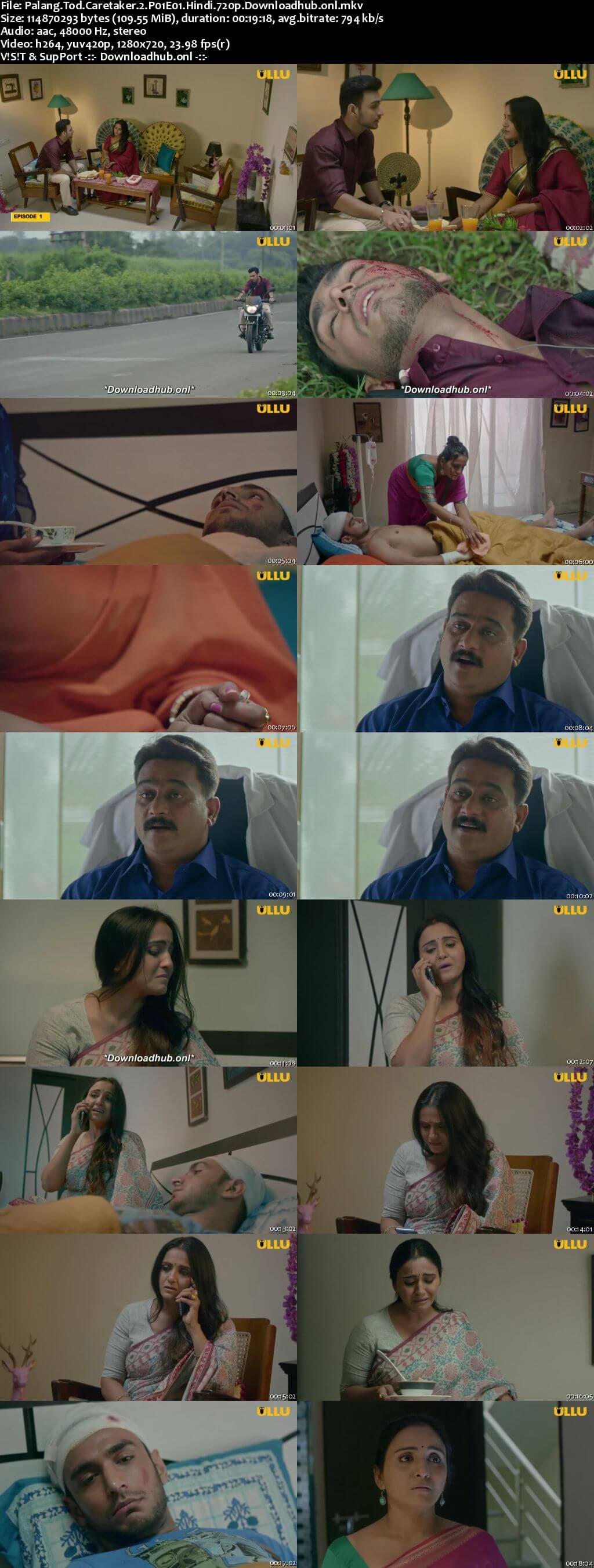 Palang Tod (Caretaker 2) 2021 Hindi Part 01 ULLU WEB Series 720p HDRip x264