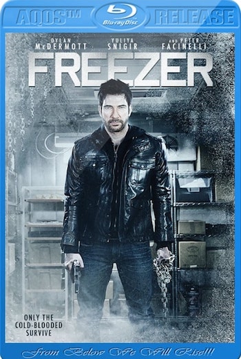Freezer 2014 Dual Audio Hindi 720p 480p BluRay [800mb 260mb]