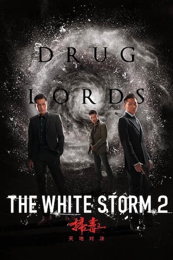 The White Storm 2 Drug Lords 2019 Hindi Dubbed 720p 480p WEB-DL [850MB 300MB]