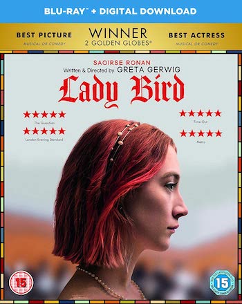 Lady Bird 2017 Dual Audio Hindi 720p 480p BluRay [950MB 300MB]