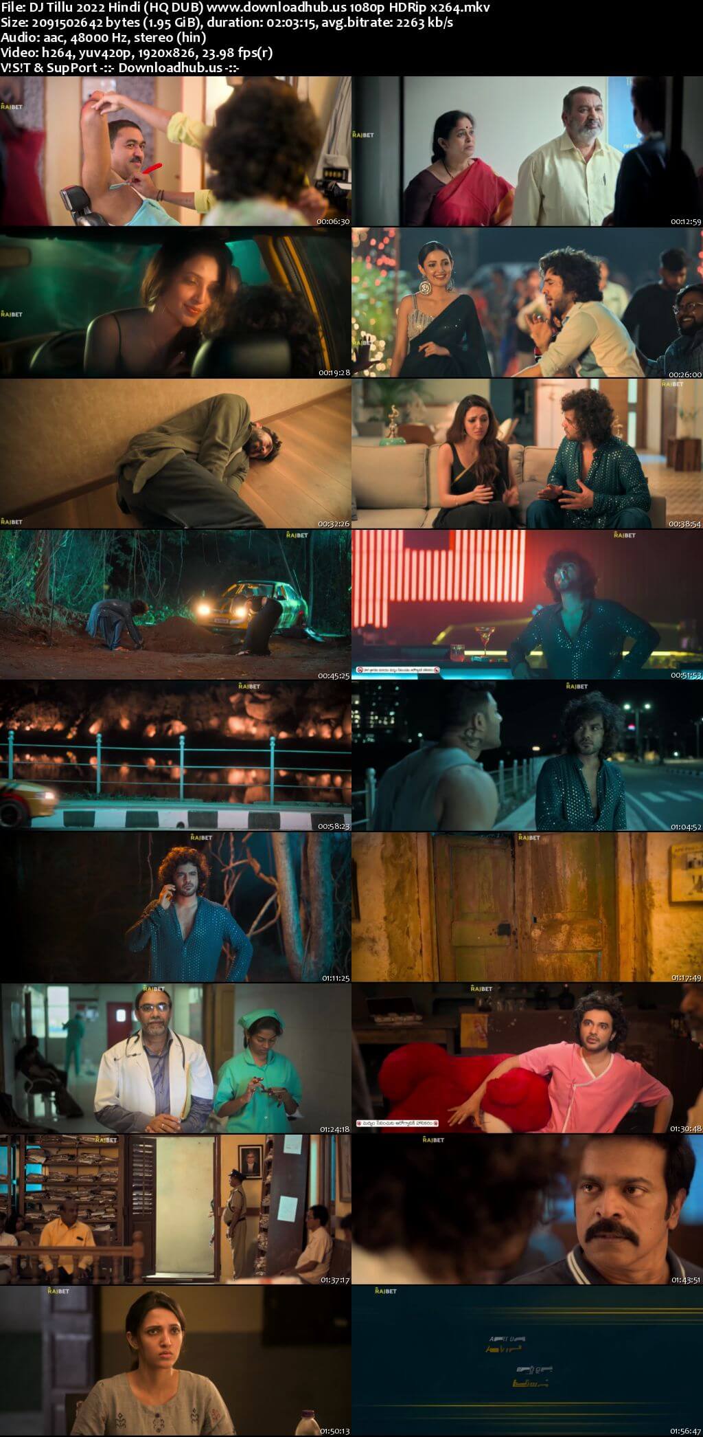 DJ Tillu 2022 Hindi (HQ DUB) 1080p 720p 480p HDRip x264