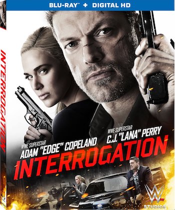 Interrogation 2016 Dual Audio Hindi 720p 480p BluRay [750MB 280MB]