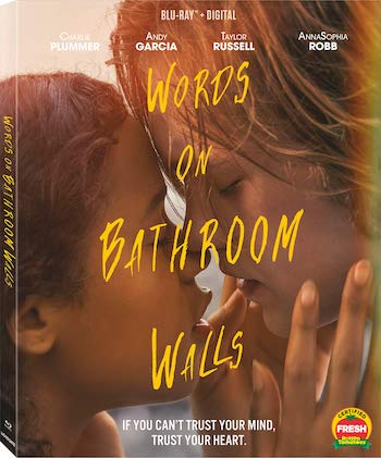 Words On Bathroom Walls 2020 Dual Audio Hindi 720p 480p BluRay [950MB 350MB]