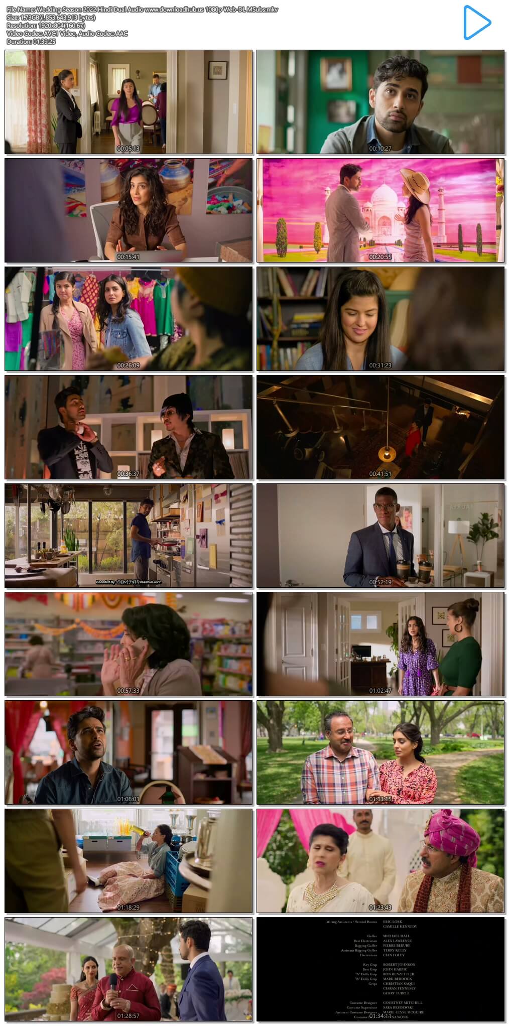 Wedding Season 2022 Hindi Dual Audio 1080p 720p 480p Web-DL MSubs HEVC