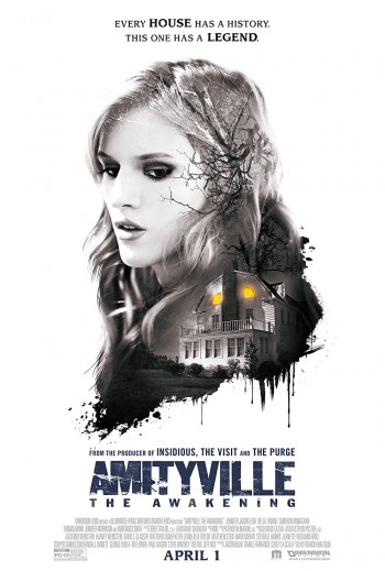 Amityville The Awakening 2017 Dual Audio Hindi Eng 720p 480p BluRay