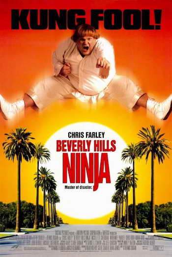 Beverly Hills Ninja 1997 Dual Audio Hindi 720p 480p WEB-DL [750MB 280MB]