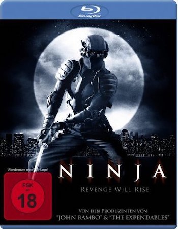 Ninja 2009 Dual Audio Hindi 720p 480p BluRay [750MB 280MB]