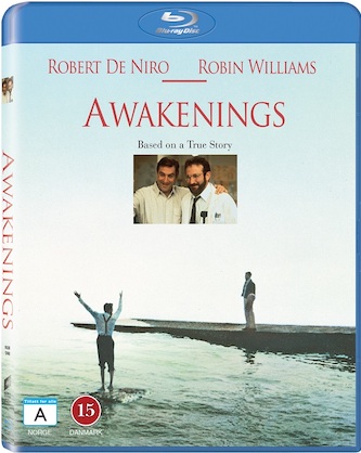 Awakenings 1990 Dual Audio Hindi 720p 480p BluRay [1GB 350MB]