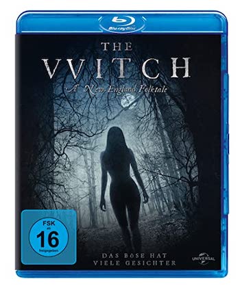 The Witch 2015 Dual Audio Hindi 720p 480p BluRay [950MB 300MB]