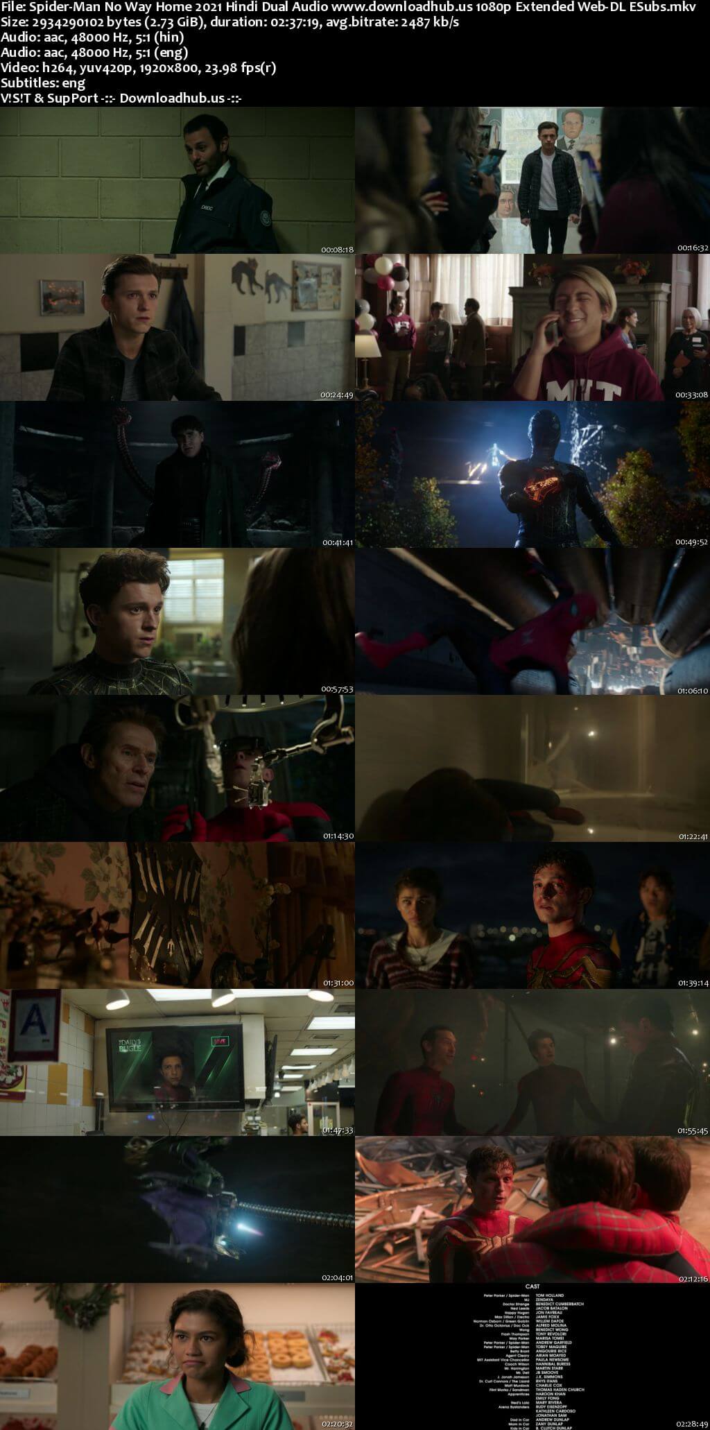 Spider-Man No Way Home 2021 Hindi Dual Audio 1080p 720p 480p Extended Web-DL ESubs HEVC