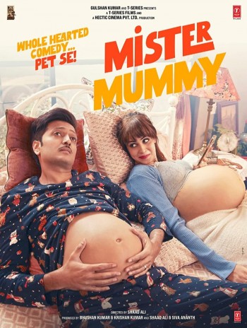 Mister Mummy 2022 Hindi 720p 480p pDVDRip