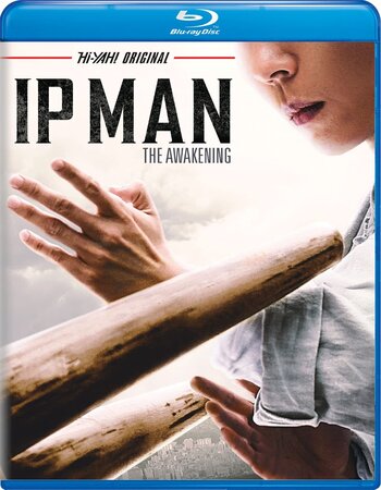 Ip Man The Awakening 2021 Dual Audio Hindi 720p 480p BluRay [850MB 280MB]