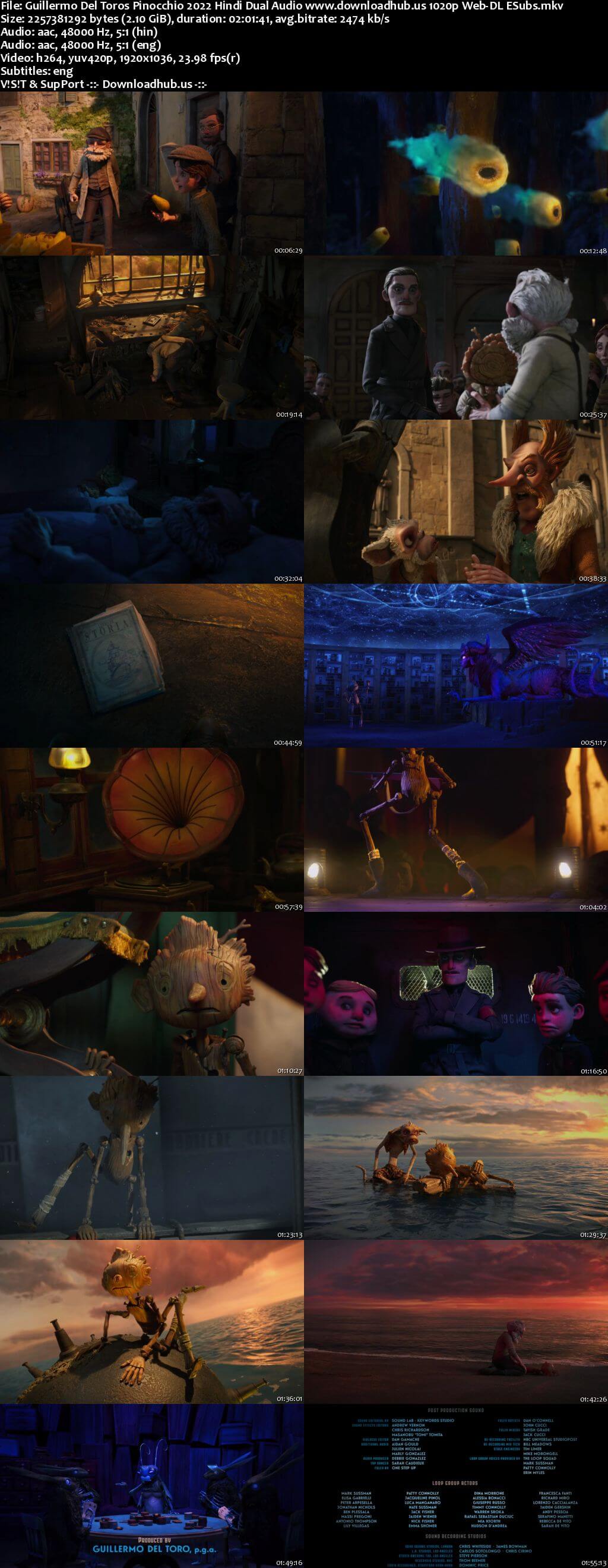 Guillermo Del Toros Pinocchio 2022 Hindi Dual Audio 1080p 720p 480p Web-DL ESubs HEVC