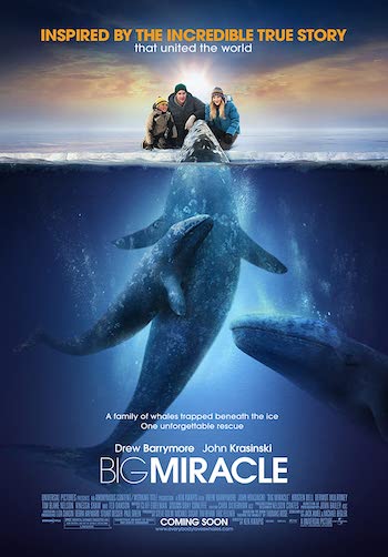 Big Miracle 2012 Dual Audio Hindi Full Movie Download