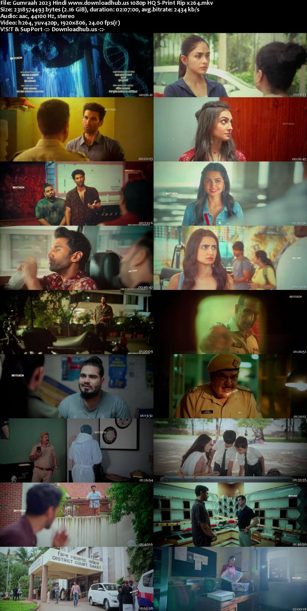 Gumraah 2023 Hindi 1080p 720p 480p HQ S-Print Rip x264