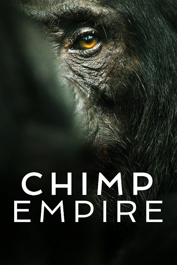 Chimp Empire 2023 Full Season 01 Download Hindi In HD