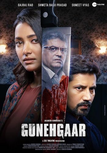 Gunehgaar 2022 Full Hindi Movie 1080p 720p 480p Web-DL