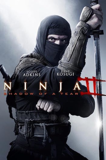 Ninja Shadow Of A Tear 2013 Dual Audio Hindi Full Movie Download