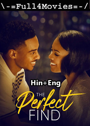 Perfect Find (2023) 1080p | 720p | 480p WEB-HDRip [Hindi + English (DD2.0)]