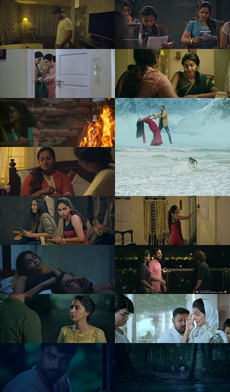Mayaanadhi 2017 Hindi ORG Dual Audio Movie DD5.1 1080p 720p 480p UNCUT BluRay ESubs x264 HEVC