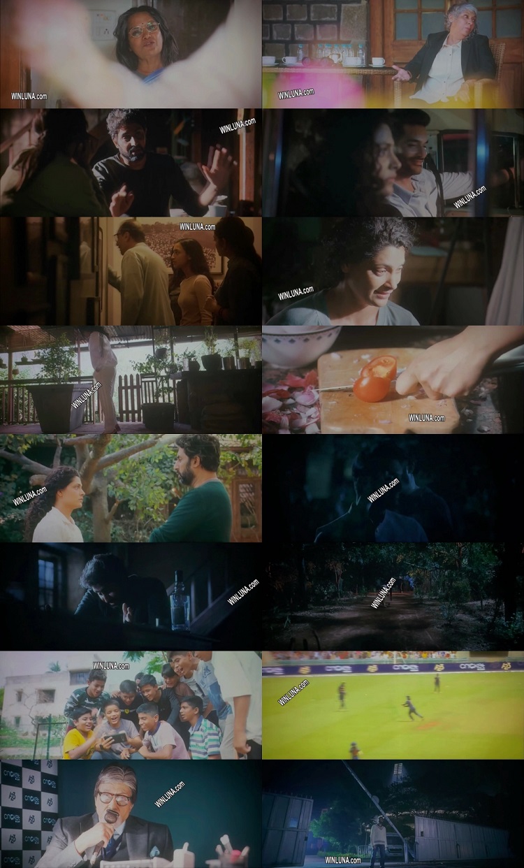 Ghoomer 2023 Hindi Movie 1080p 720p 480p HQ S-Print Rip x264