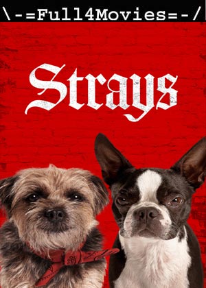 Strays (2023) 1080p | 720p | 480p WEB-HDRip [English (DD5.1)]