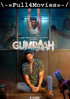 Gumraah (2023) 1080p | 720p | 480p WEB-HDRip [Hindi (DD2.0)]