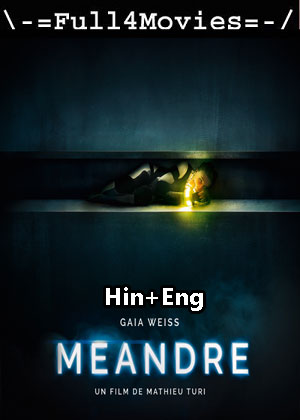 Meander (2020) 1080p | 720p | 480p WEB-HDRip [Hindi (ORG) + English (DD5.1)]