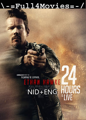 24 Hours to Live (2017) 1080p | 720p | 480p WEB-HDRip [Hindi (DD2.0) + English]