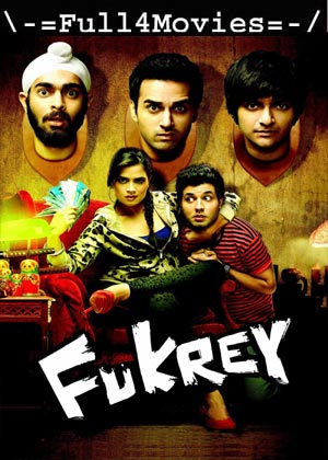 Fukrey (2013) 1080p | 720p | 480p BluRay [Hindi (DD 2.0)]