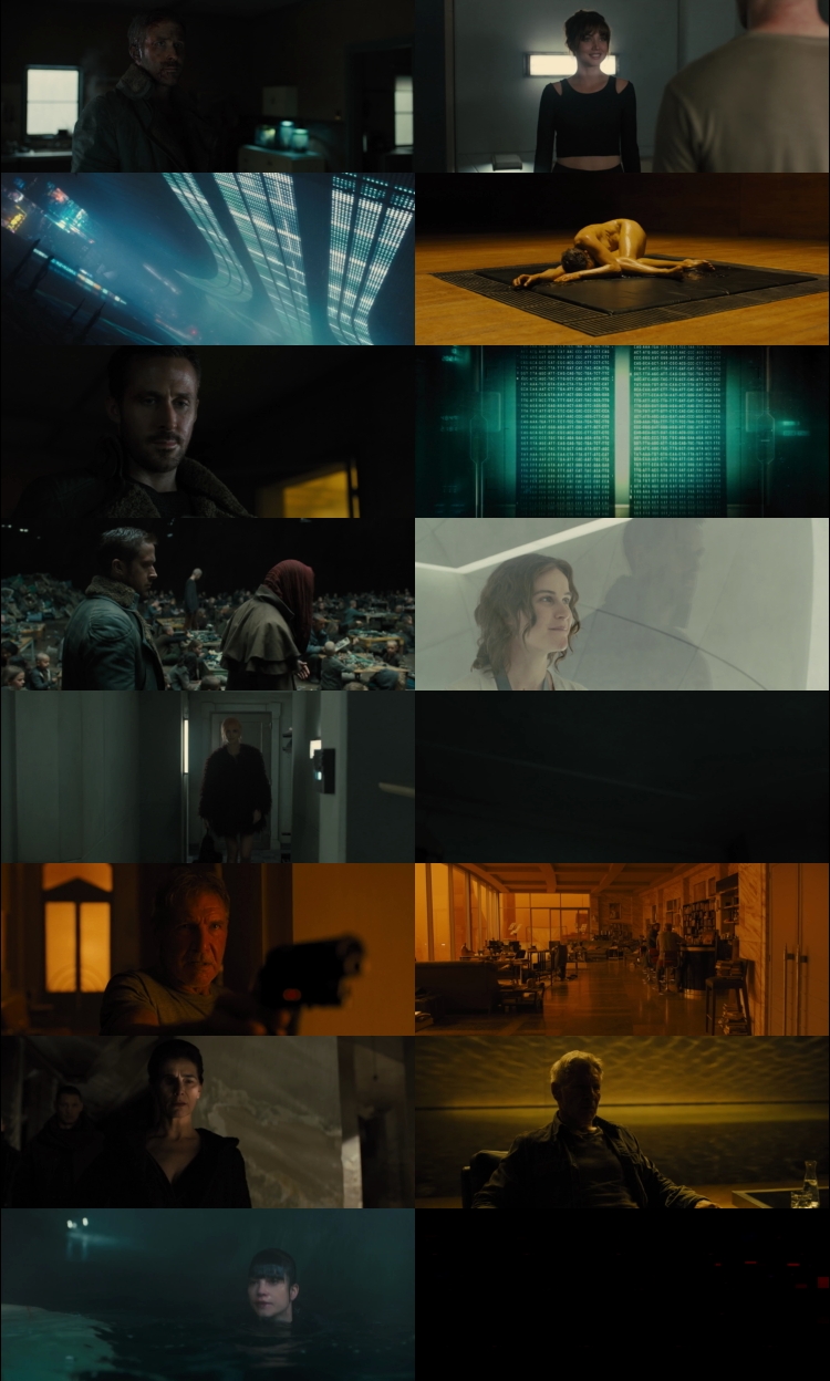 Blade Runner 2049 2005 Hindi ORG Dual Audio Movie DD2.0 1080p 720p 480p BluRay ESubs x264 HEVC