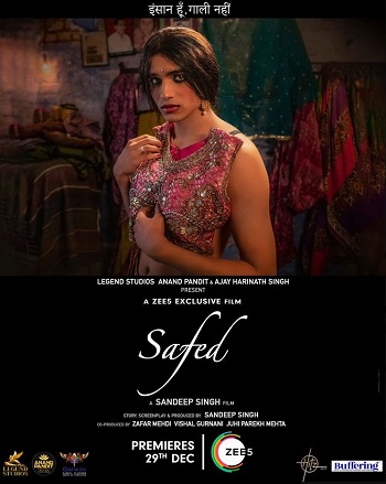 Safed 2023 Hindi Movie DD5.1 1080p 720p 480p HDRip ESubs x264 HEVC