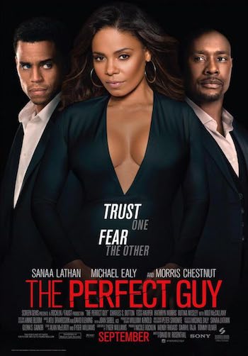 The Perfect Guy 2015 Dual Audio Hindi Full Movie Download