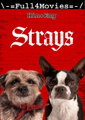 Strays (2023) 1080p | 720p | 480p WEB-HDRip [Hindi ORG (DD5.1) + English]