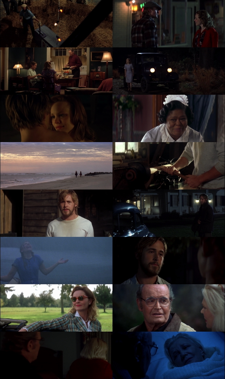 The Notebook 2004 Hindi ORG Dual Audio Movie DD5.1 1080p 720p 480p BluRay ESubs x264 HEVC